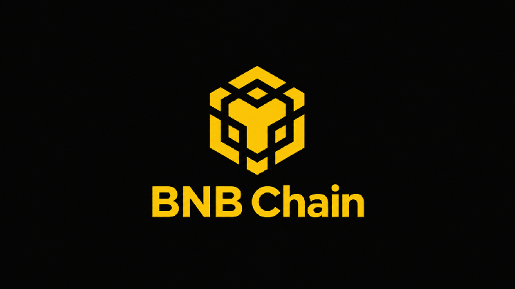 BNB Chain: держателей RWA достигло 2 млн — 40% рынка ончейн-активов